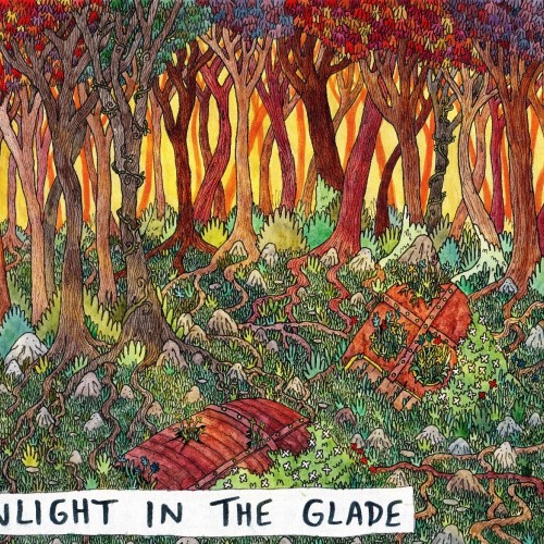 Sunlight in the glade