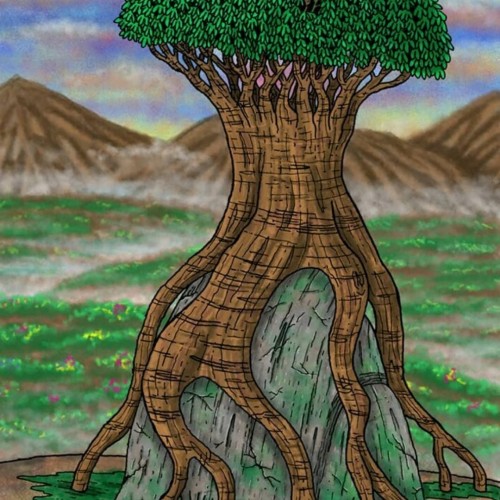 The wise old tree