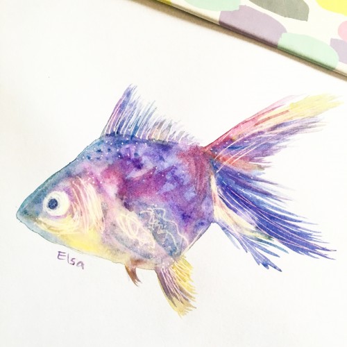 Rainbow fish 