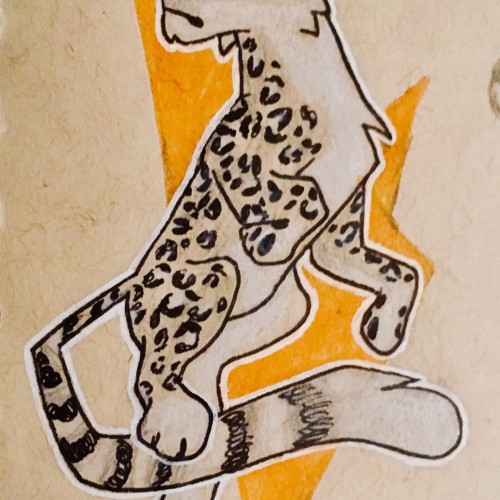 it’s a floating leopard