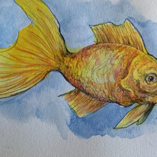 Fisk doodle