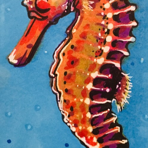 Seahorse