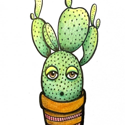 Sleepy Cactus