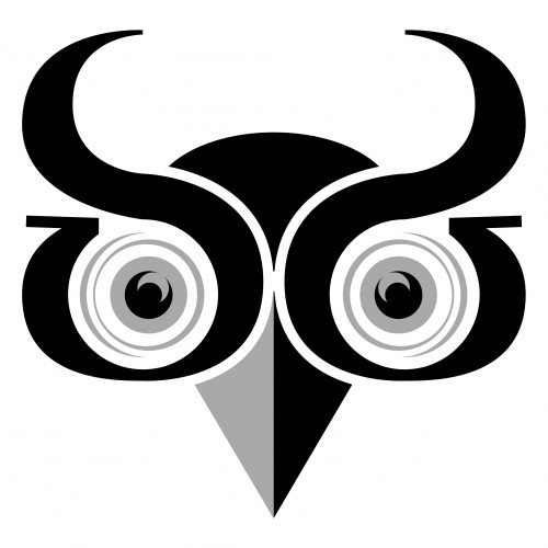 Graphic Sintesis - Owl 3