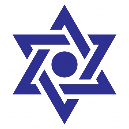 DAVID/S STAR