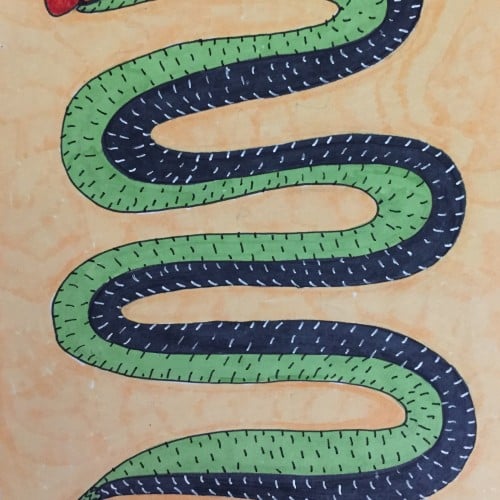 Vegetarian Snake