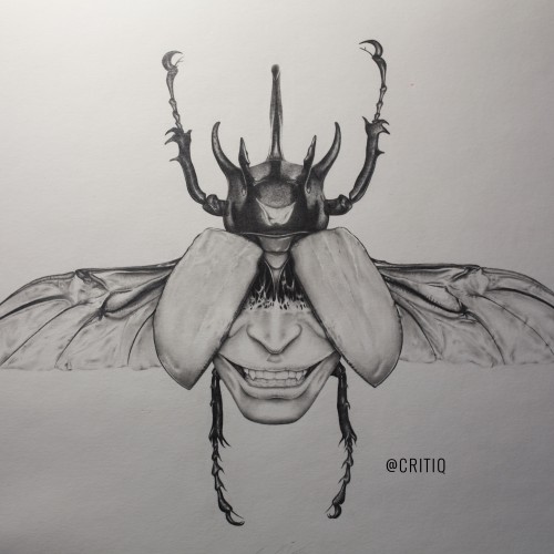 Oni Beetle