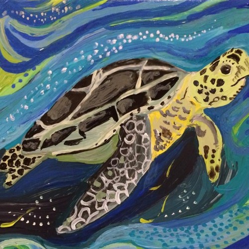 sea turtle