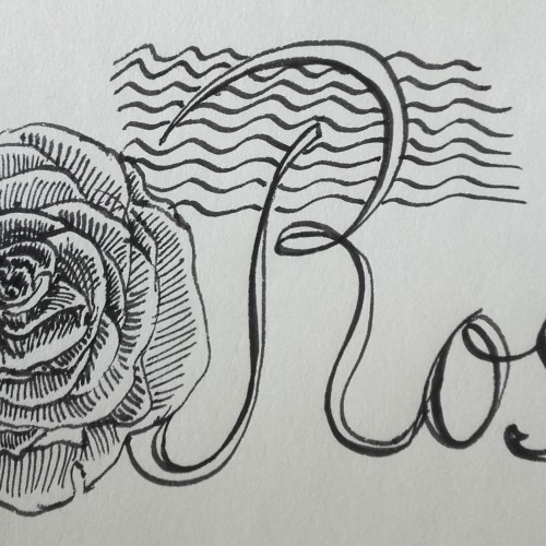 stylised rose study