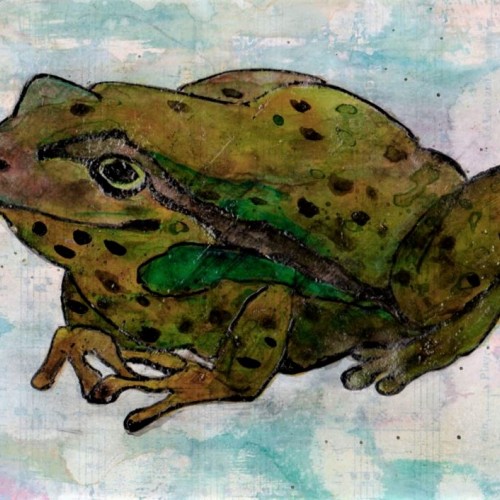 Toad