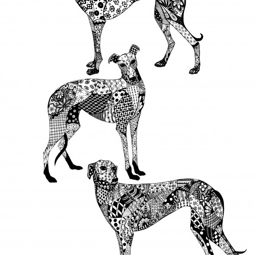 Greyhound Study
