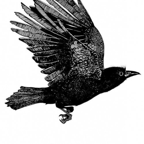 As The Crow Flies