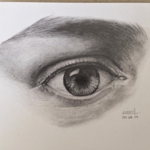 The eye