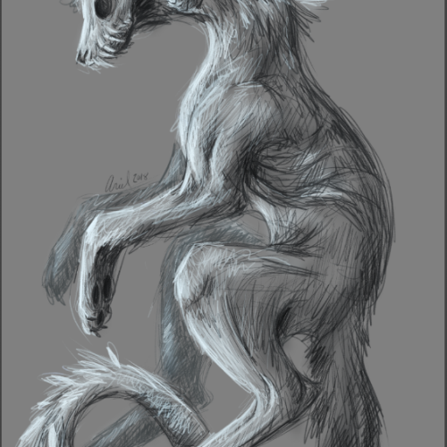 Spirit Creature Sketch
