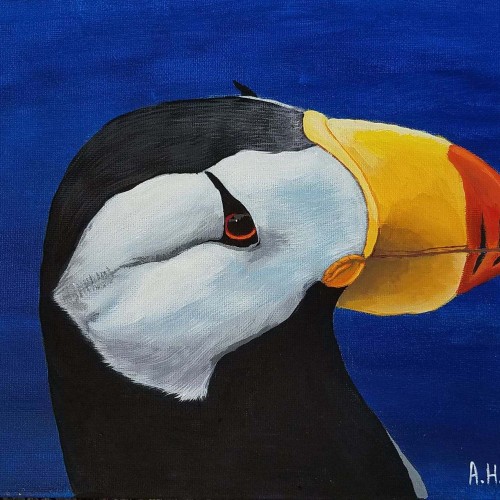 Puffin Painting