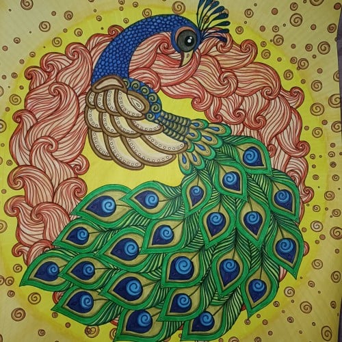 Peacock