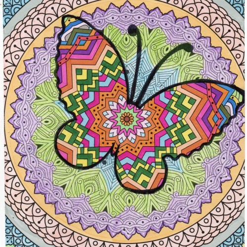 Jerry’s Butterfly Reveal