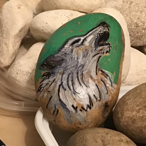 rock wolf 1