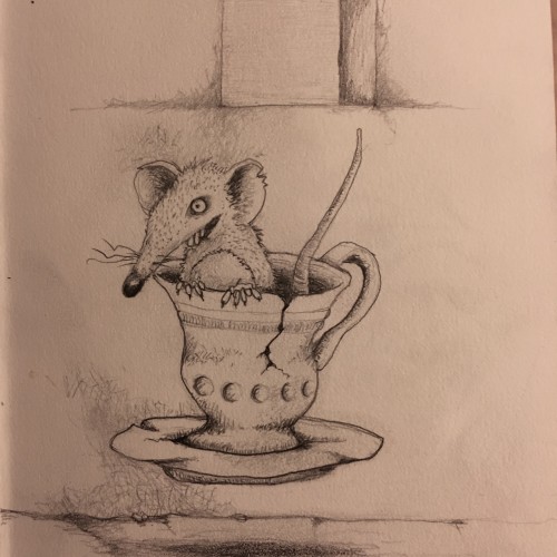 Rat in Floating Teacup.