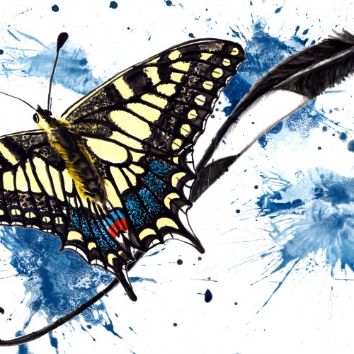 The Swallowtail