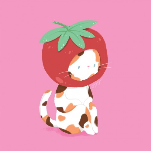 Tomato Cat