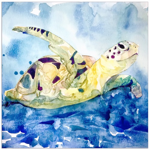 Sea Turtle Watercolor