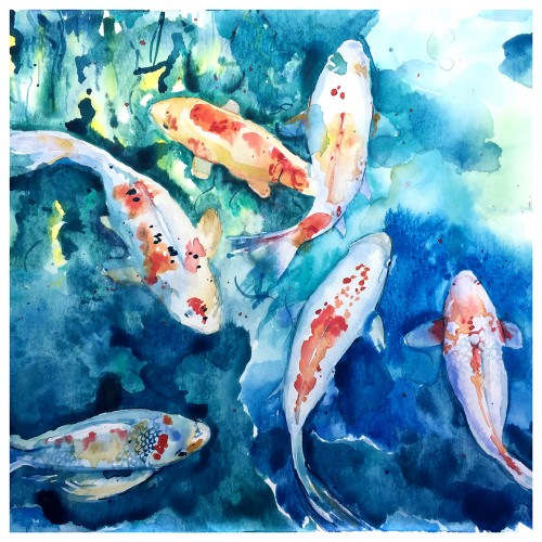 Koi Fish