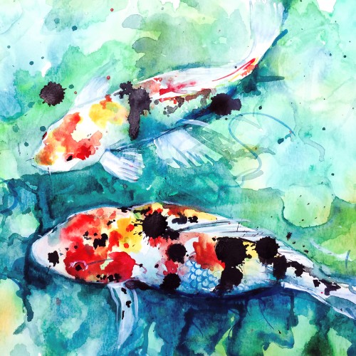 Koi Fish