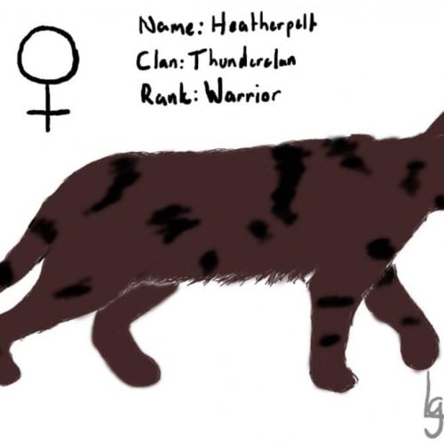 Heatherpelt - Warrior cats OC
