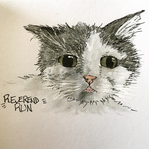 Reverend Run, my sister-in-law’s cat