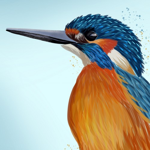 Kingfisher