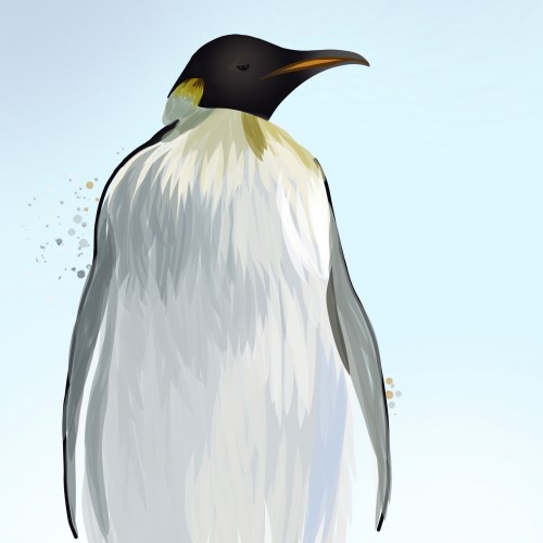 Penguin