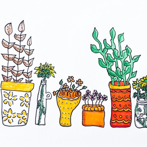 Potted Plants