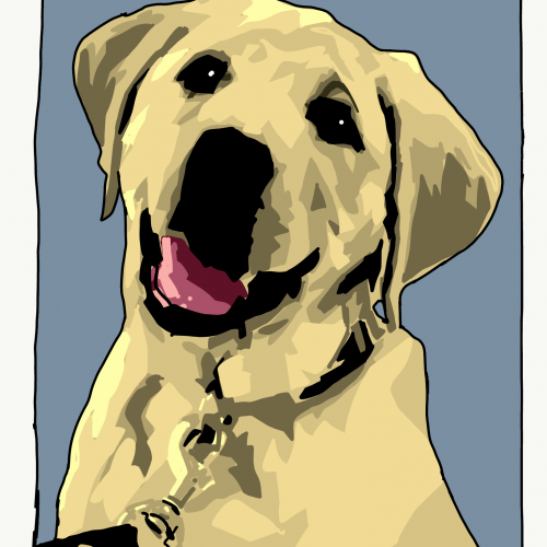 Yellow Lab