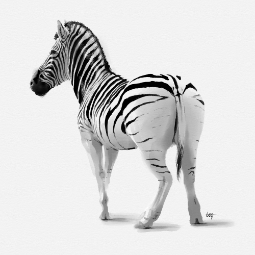 Zebra Got Back