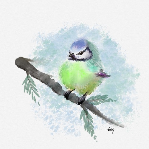 Bird Doodle
