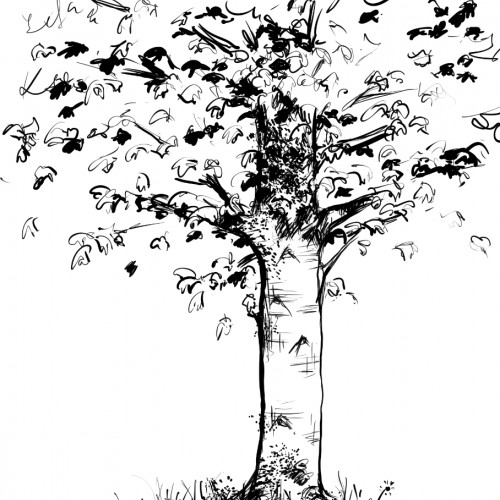 Tree Doodle