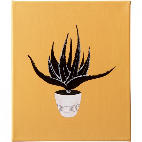 Planta aloe naranja