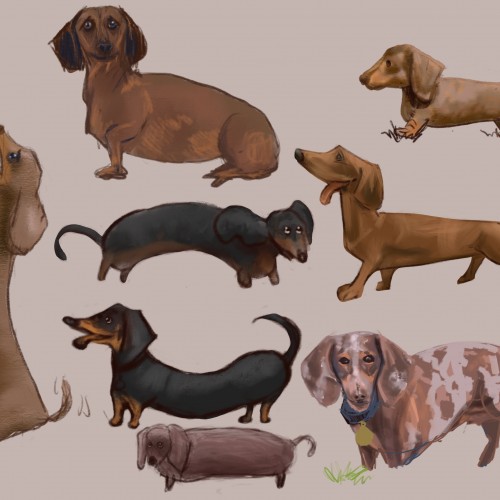100 Dogs (#4-11)