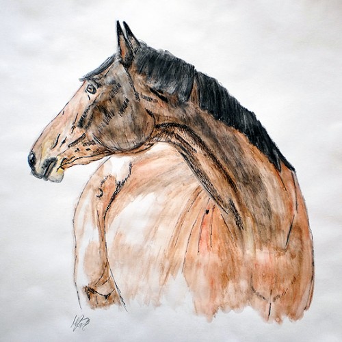 Horse