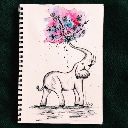 Sweet elephant