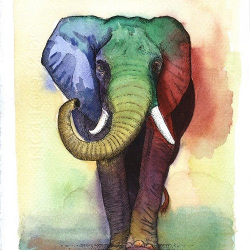 Elephant by Technicolor