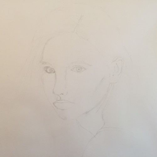 Drawing a Model