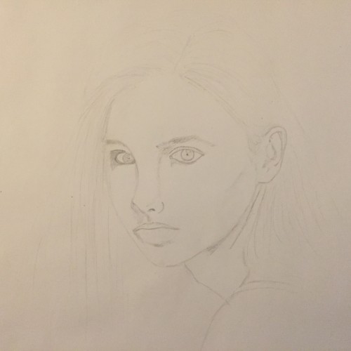 Drawing a Model