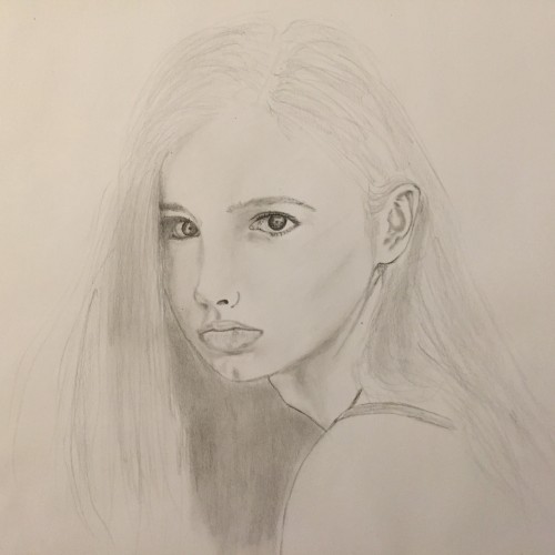 Drawing a Model