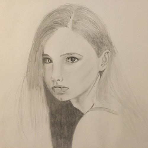 Drawing a Model