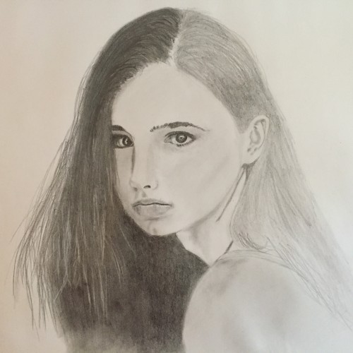 Drawing a Model