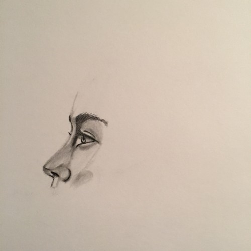 Profile Drawing