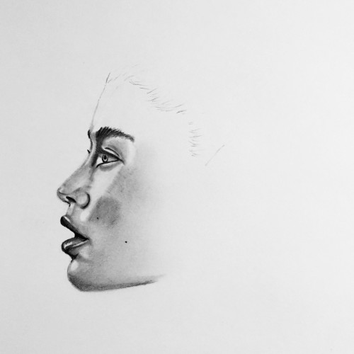 Profile Drawing