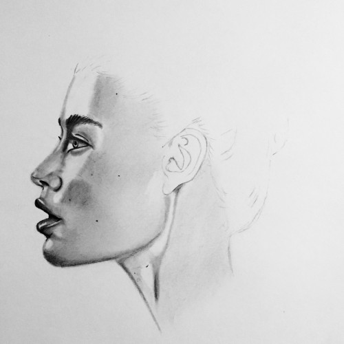 Profile Drawing